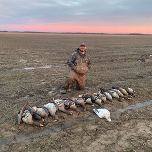 Meet your Posher, Brooks